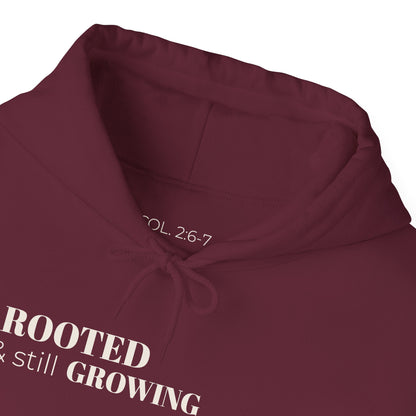 Rooted & Still Growing Hoodie | Unisex Inspirational Hoodie | Loc & Natural Hair Lifestyle